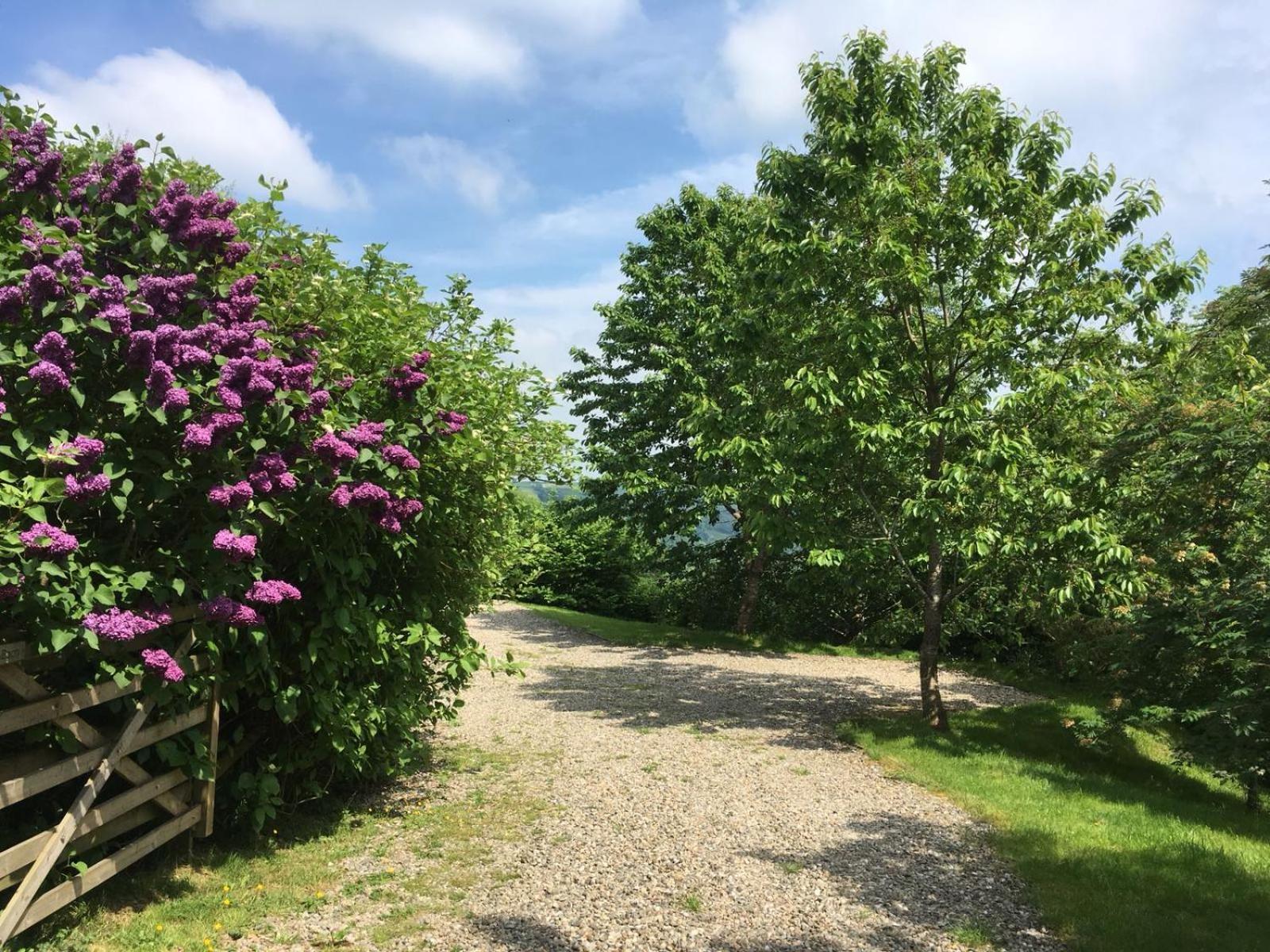 랑골렌 Cefn Ceiriog 빌라 외부 사진